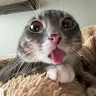 zxy